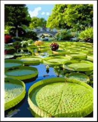 RA5560_O Розм-ка за номером. 40*50см 