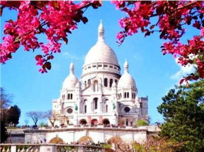 RA3221_O Раскраска по номерам (холст на раме с красками и кистями) 40*50см 