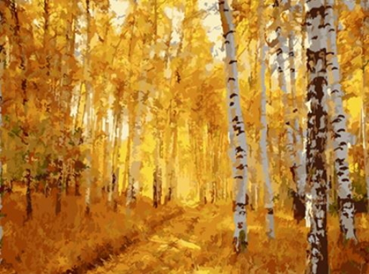 EOTG6299_B Розк-ка за номером. 40*50см 