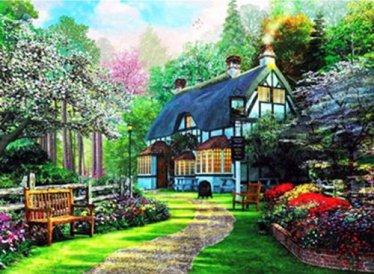 EOTG6445_B Розк-ка за номером. 40*50см 