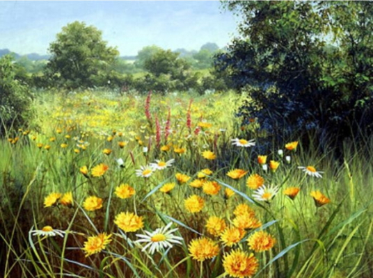 RA3154_B Розк-ка за номером. 40*50см 