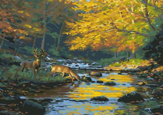 RA5034_B Розк-ка за номером. 40*50см 