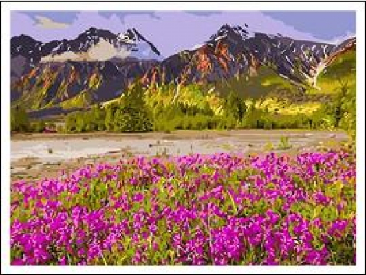 RA5095_B Розк-ка за номером. 40*50см 