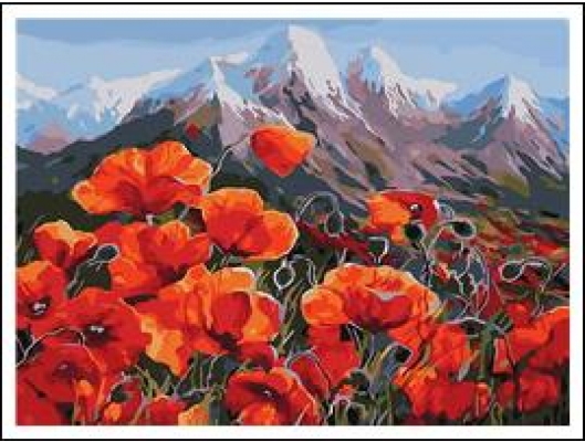 RA5284_B Розк-ка за номером. 40*50см 