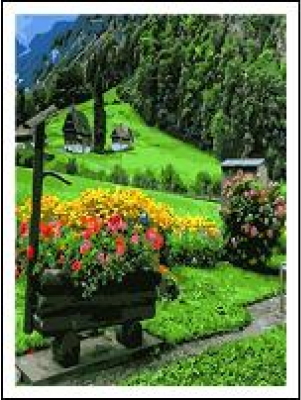 RA5584_B Раск-ка по номер. 40*50см 