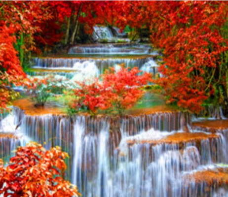 RSB8388_B Розк-ка за номером. 40*50см 