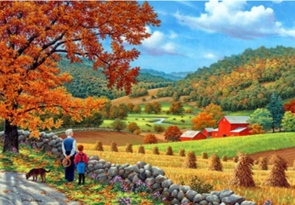 Y5709_B Розк-ка за номером. 40*50см 