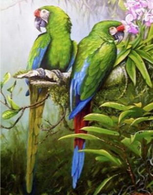 Y5888_B Розк-ка за номером. 40*50см 