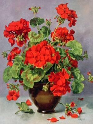 Y5472_O Розк-ка за номером. 40*50см 