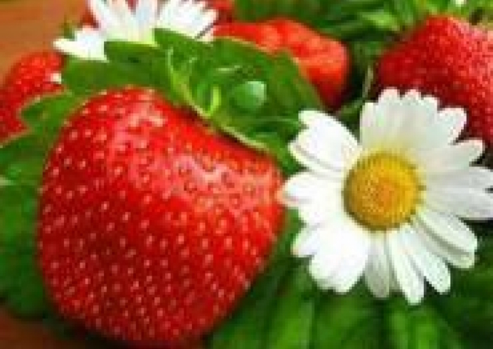 GLD60247 - GB70067 Алмазна мозаїка за номерами 30*40 