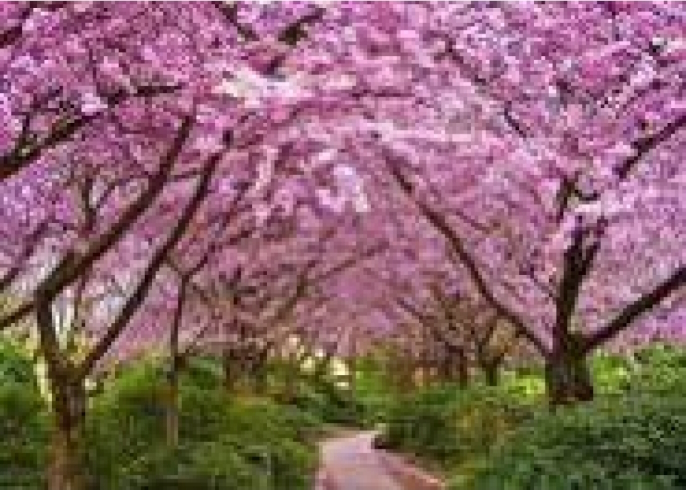 GLD60427 - GB70053 Алмазна мозаїка за номерами 30*40 