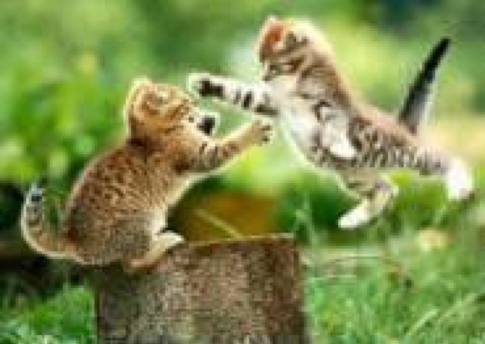 GLD60428 - GB70054 Алмазна мозаїка за номерами 30*40 