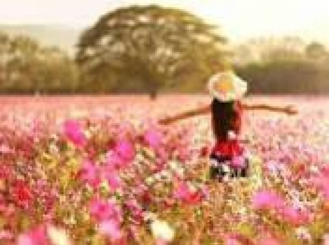 GLD60594 - GB70013 Алмазна мозаїка за номерами 30*40 