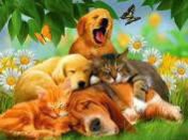 GLD60670 - GB70234 Алмазна мозаїка за номерами 30*40 