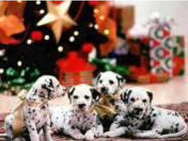 GLD60820 - GB71485 Алмазна мозаїка за номерами 30*40 