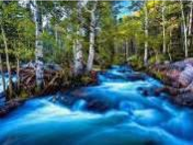 GLD60821 - GB71725 Алмазна мозаїка за номерами 30*40 