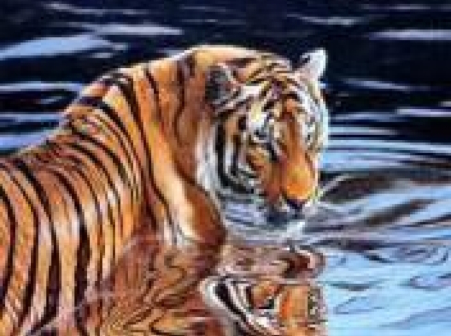 GLD60867 - GB73352 Алмазна мозаїка за номерами 30*40 