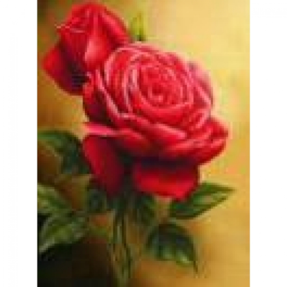 GLD60653 - GB70194 Алмазна мозаїка за номерами 30*40 