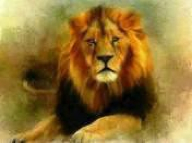 GLD60702 - GB70321 Алмазна мозаїка за номерами 30*40 