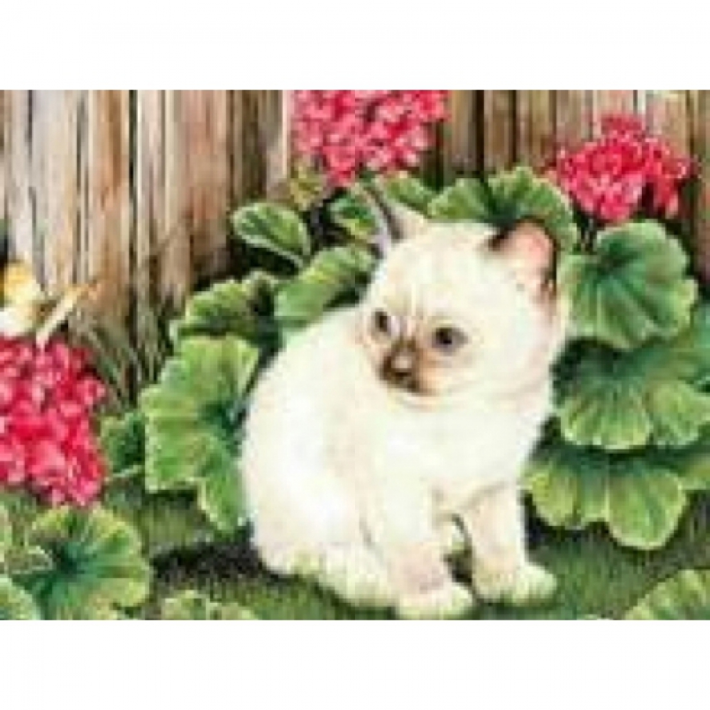 GLD60767 - GB70661 Алмазна мозаїка за номерами 30*40 