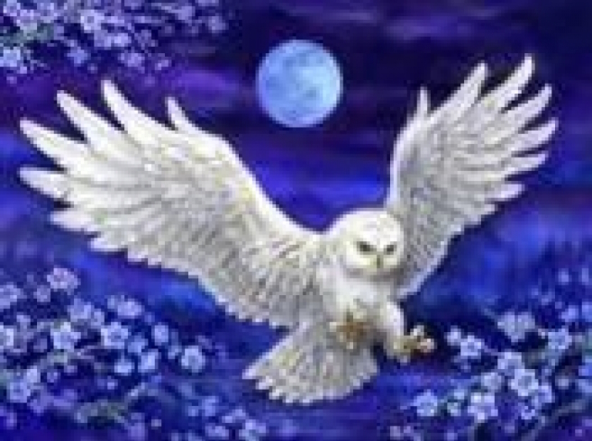 GLD60892 - GB72746 Алмазна мозаїка за номерами 30*40 