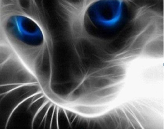 GLD60971_B Алмазна мозаїка за номерами 30*40 