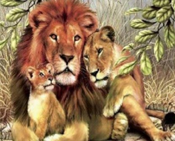 GLD61113_B Алмазна мозаїка за номерами 30*40 