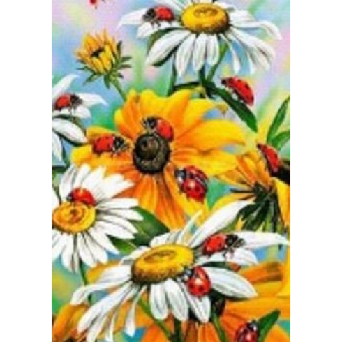 GLD61243_B Алмазна мозаїка за номерами 30*40 