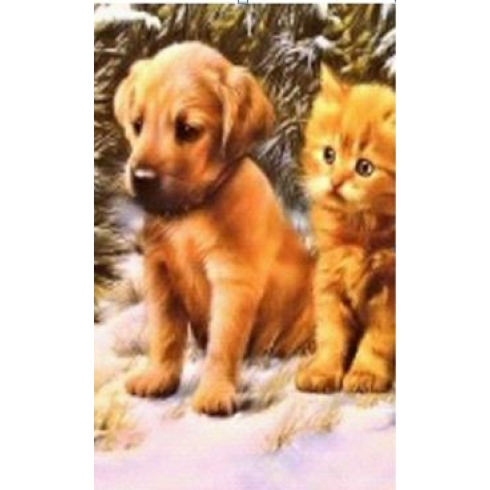 GLD61262_B Алмазна мозаїка за номерами 30*40 