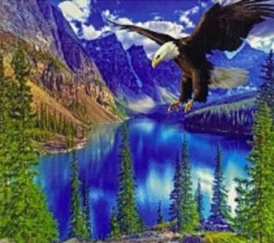 GLD61307_B Алмазна мозаїка за номерами 30*40 