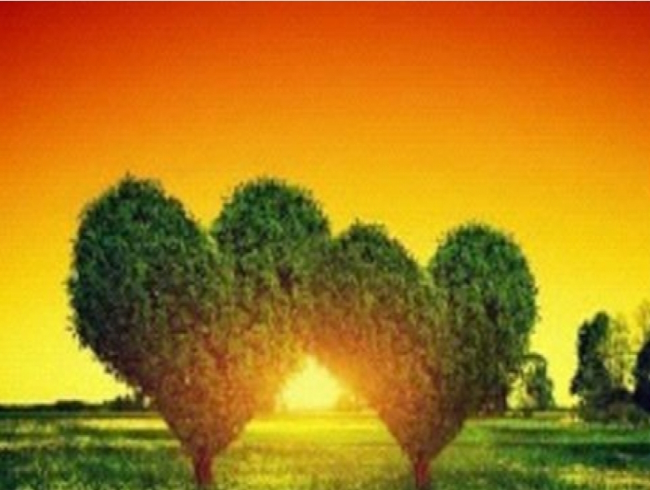 GLD61380_B Алмазна мозаїка за номерами 30*40 