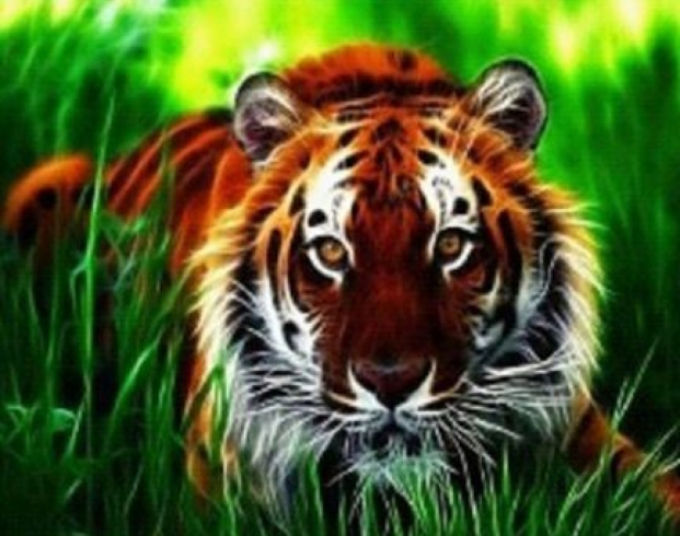 GLD61558_B Алмазна мозаїка за номерами 30*40 