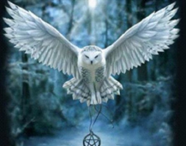 GLD61579_B Алмазна мозаїка за номерами 30*40 