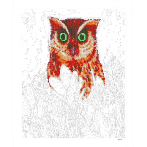 9D90577 Картина по номерам + Діамант 9D 40*50 