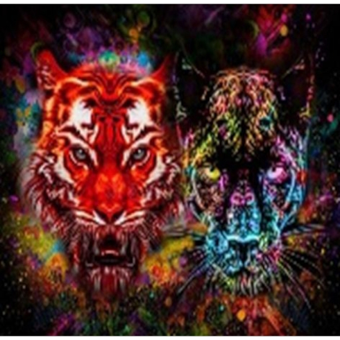 GLE70849_B Алмазна мозаїка за номерами 40*50 