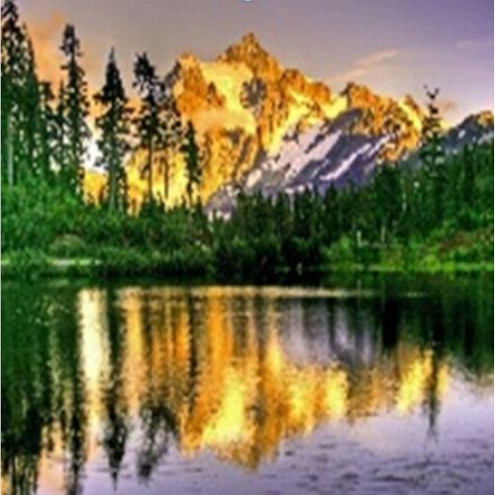 GLE71042_B Алмазна мозаїка за номерами 40*50 