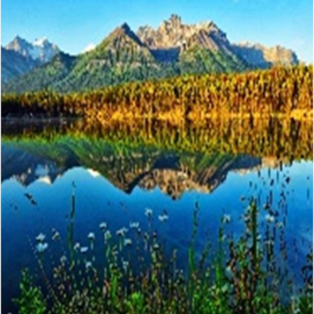 GLE71082_B Алмазна мозаїка за номерами 40*50 