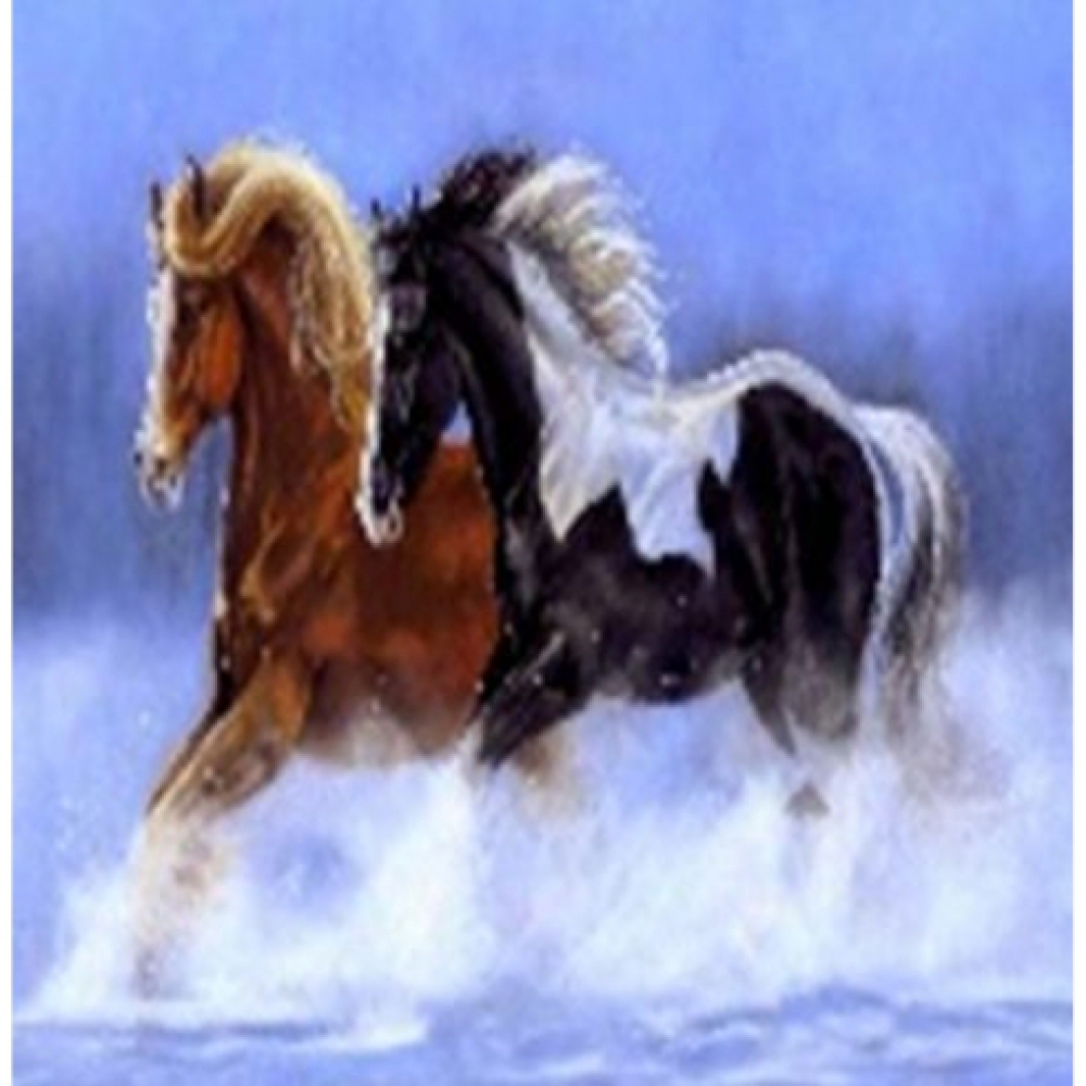 GLE71118_B Алмазна мозаїка за номерами 40*50 