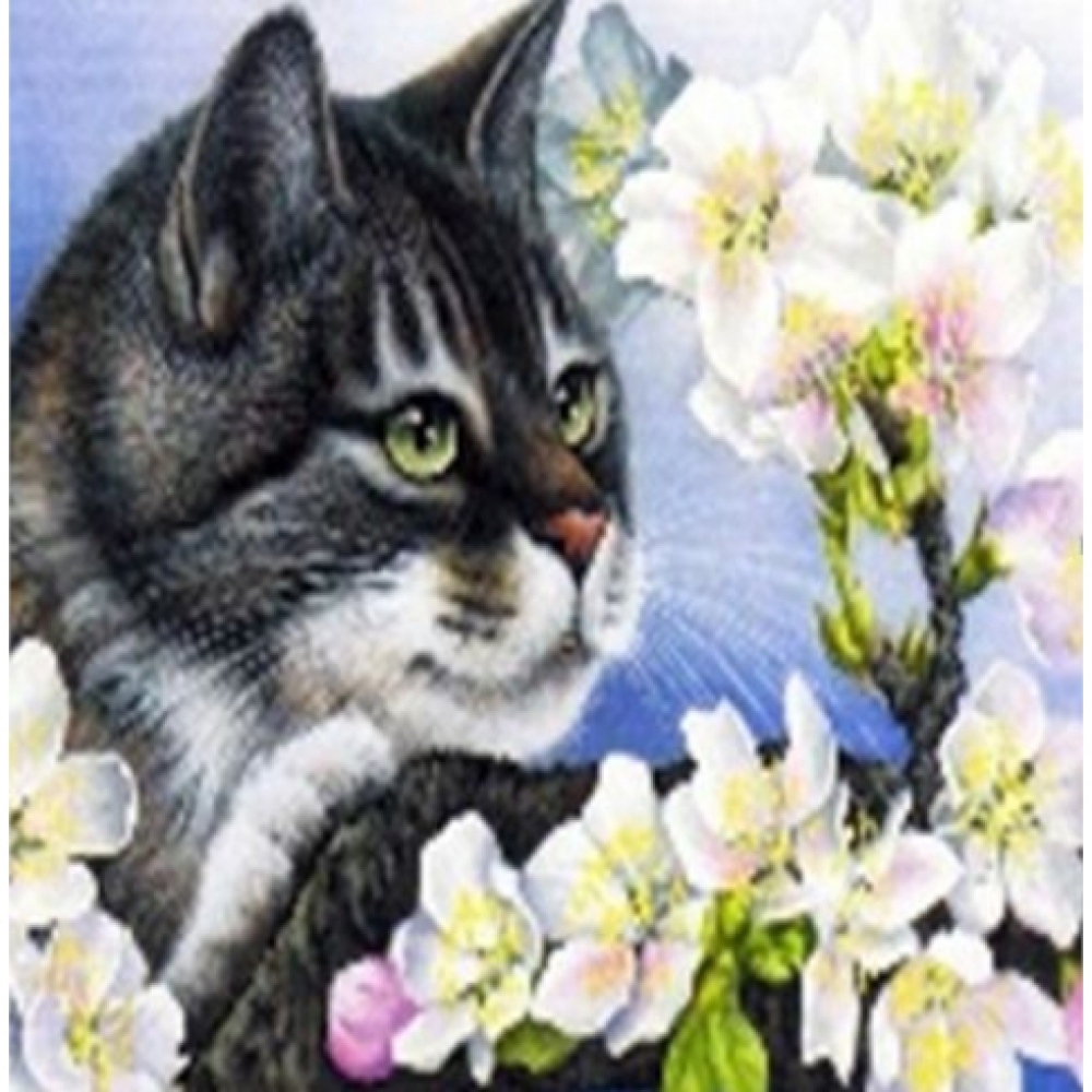 GLE71222_B Алмазна мозаїка за номерами 40*50 