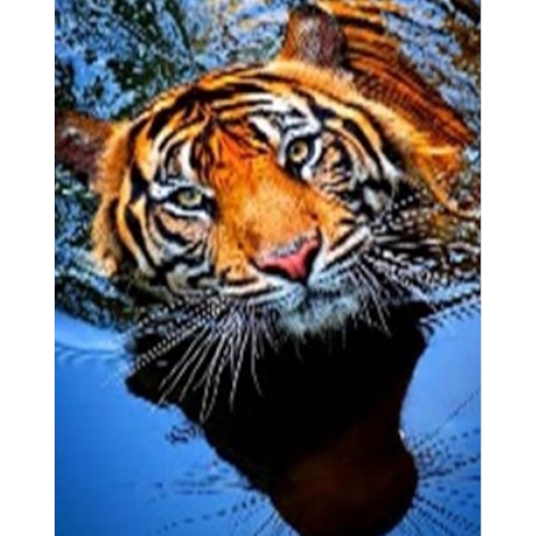 GLE71254_B Алмазна мозаїка за номерами 40*50 