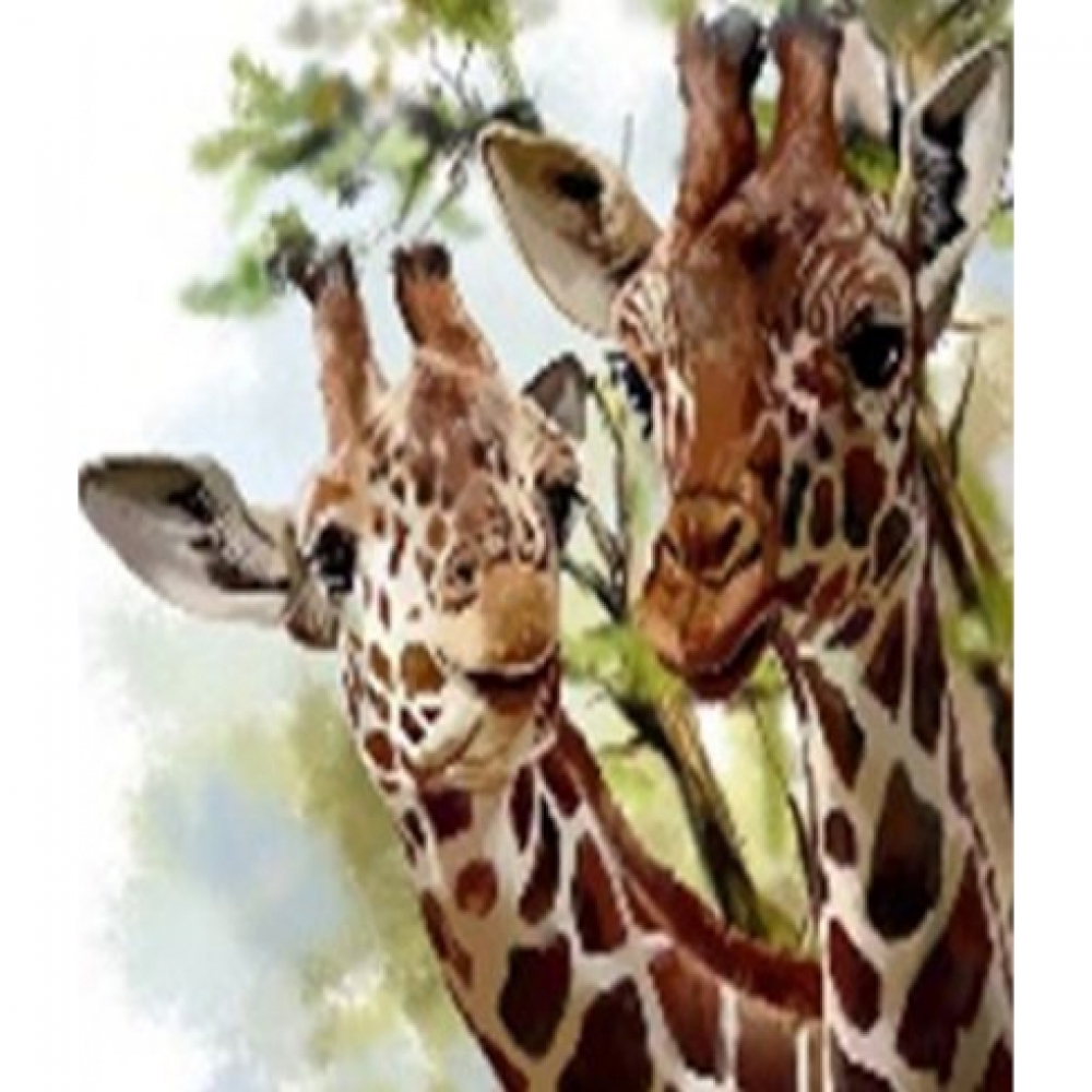 GLE71263_B Алмазна мозаїка за номерами 40*50 