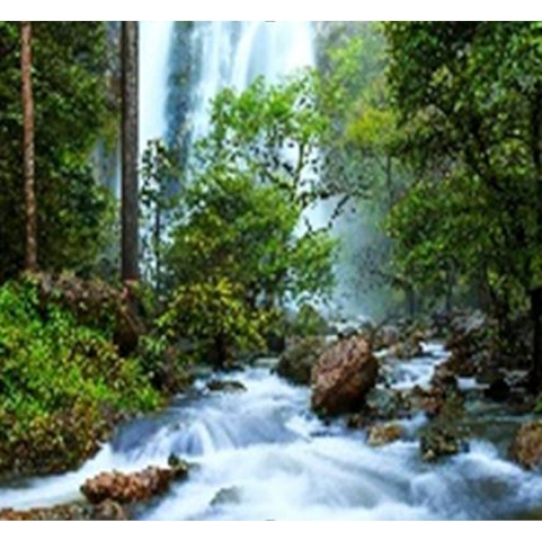 GLE71641_B Алмазна мозаїка за номерами 40*50 