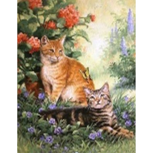 GLE71748_B Алмазна мозаїка за номерами 40*50 