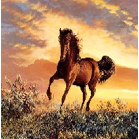 GLE71800_B Алмазна мозаїка за номерами 40*50 