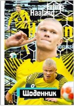 ЩОДЕННИК 165х240 мм, 40арк, офсет 70 г/м2. Обкладинка повнокольорова тверда 7БЦ. Матова ламінація, Вибірковий УФ-лак. Блок повнокольоровий українською мовою. Форзац білий. Круглення корінця. (В 1 уп.1 диз.), диз.12