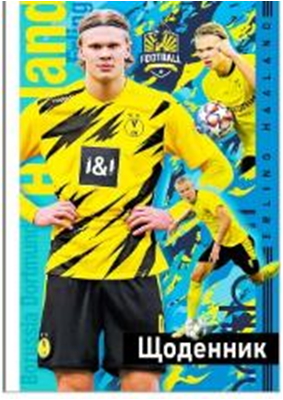 ЩОДЕННИК 165х240 мм, 40арк, офсет 70 г/м2. Обкладинка повнокольорова тверда 7БЦ. Матова ламінація, Вибірковий УФ-лак. Блок повнокольоровий українською мовою. Форзац білий. Круглення корінця. (В 1 уп.1 диз.), диз.13