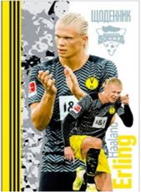 ЩОДЕННИК 165х240 мм, 40арк, офсет 70 г/м2. Обкладинка повнокольорова тверда 7БЦ. Матова ламінація, Вибірковий УФ-лак. Блок повнокольоровий українською мовою. Форзац білий. Круглення корінця. (В 1 уп.1 диз.), диз.14