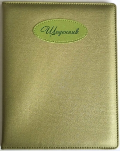 Щоденник шкільний SD1192, 167*211 мм, обкладинка кожзам, 48аркушів