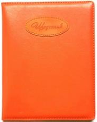 ЩОДЕННИК Шкільний 167х211мм, 48 арк, офсет 70г/м2, блок однокольоровий українською мовою. Штучна шкіра твердий, округлення кута. Нашивка з тисненням 