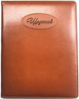 ЩОДЕННИК Шкільний 167х211мм, 48 арк, офсет 70г/м2, блок однокольоровий українською мовою. Штучна шкіра твердий, округлення кута. Нашивка з тисненням 